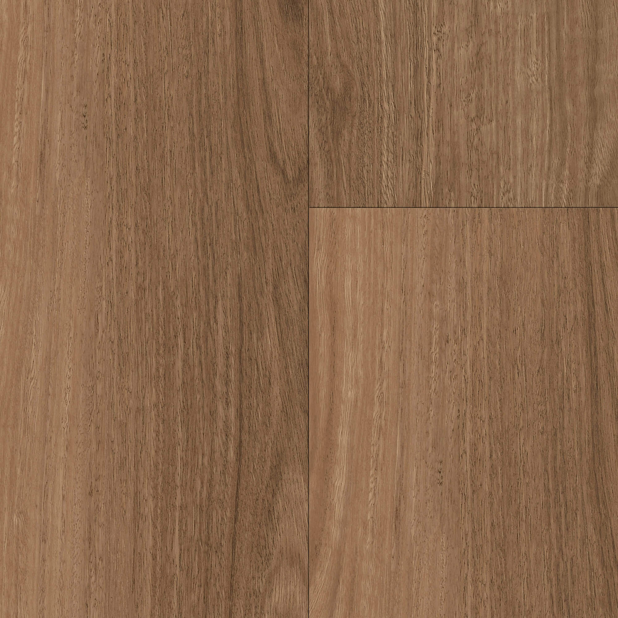 Ocean View Spotted Gum